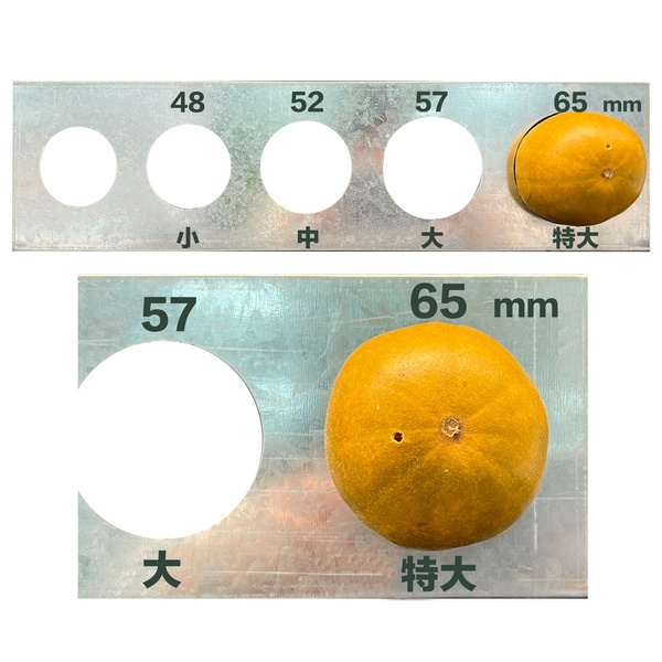 罗汉果低温脱水果