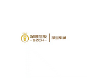 深圳市深寶華城科技有限公司