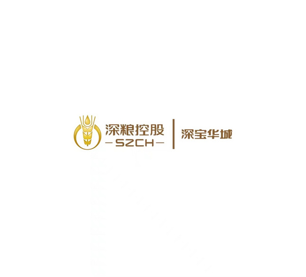 深圳市深寶華城科技有限公司