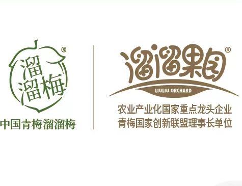 溜溜果园集团股份有限公司