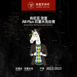 肯尼亞涅里AB Plus雙重水洗處理 生咖啡豆