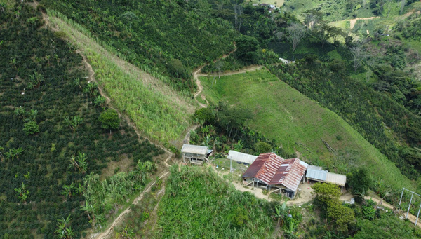 {咖啡生豆 - 蜜处理 瑰夏}