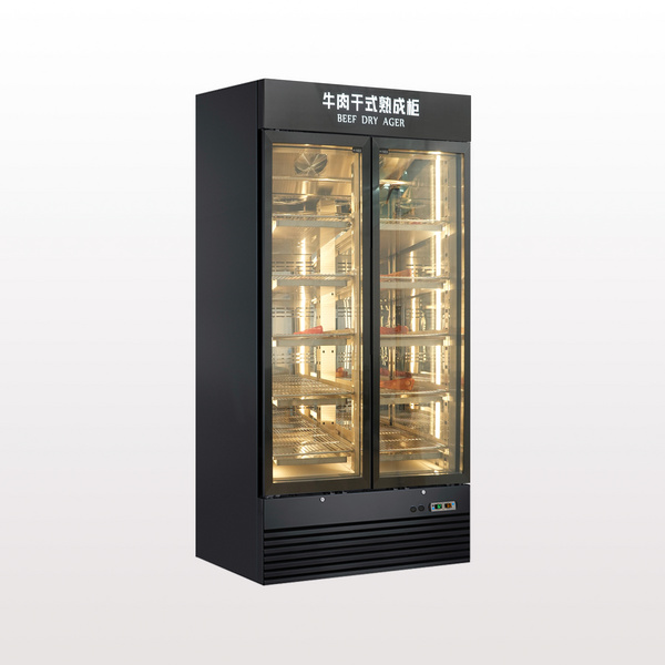 牛肉干式熟成柜商用