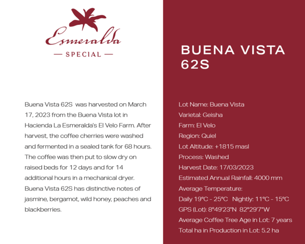 翡翠庄园红标瑰夏水洗-美景62S