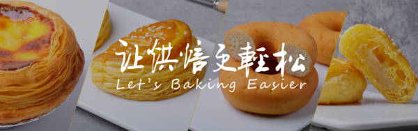 广东元宝食品有限公司