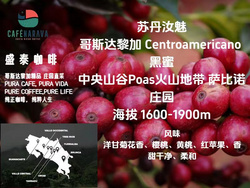 蘇丹汝魅 哥斯達(dá)黎加 黑蜜