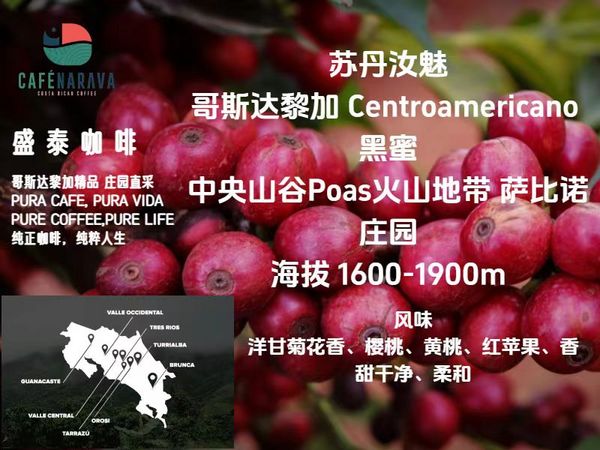 蘇丹汝魅 哥斯達黎加 黑蜜