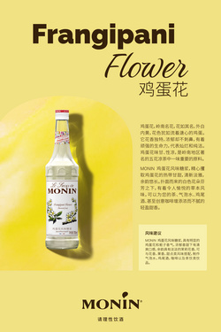 MONIN 鸡蛋花风味糖浆