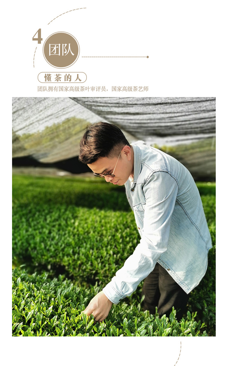 50g青昔抹茶