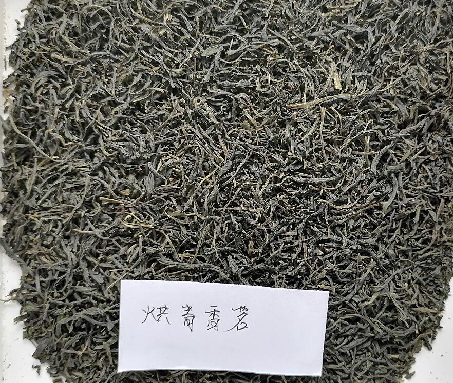 烘青川茶胚抽芯香茗窨花胚