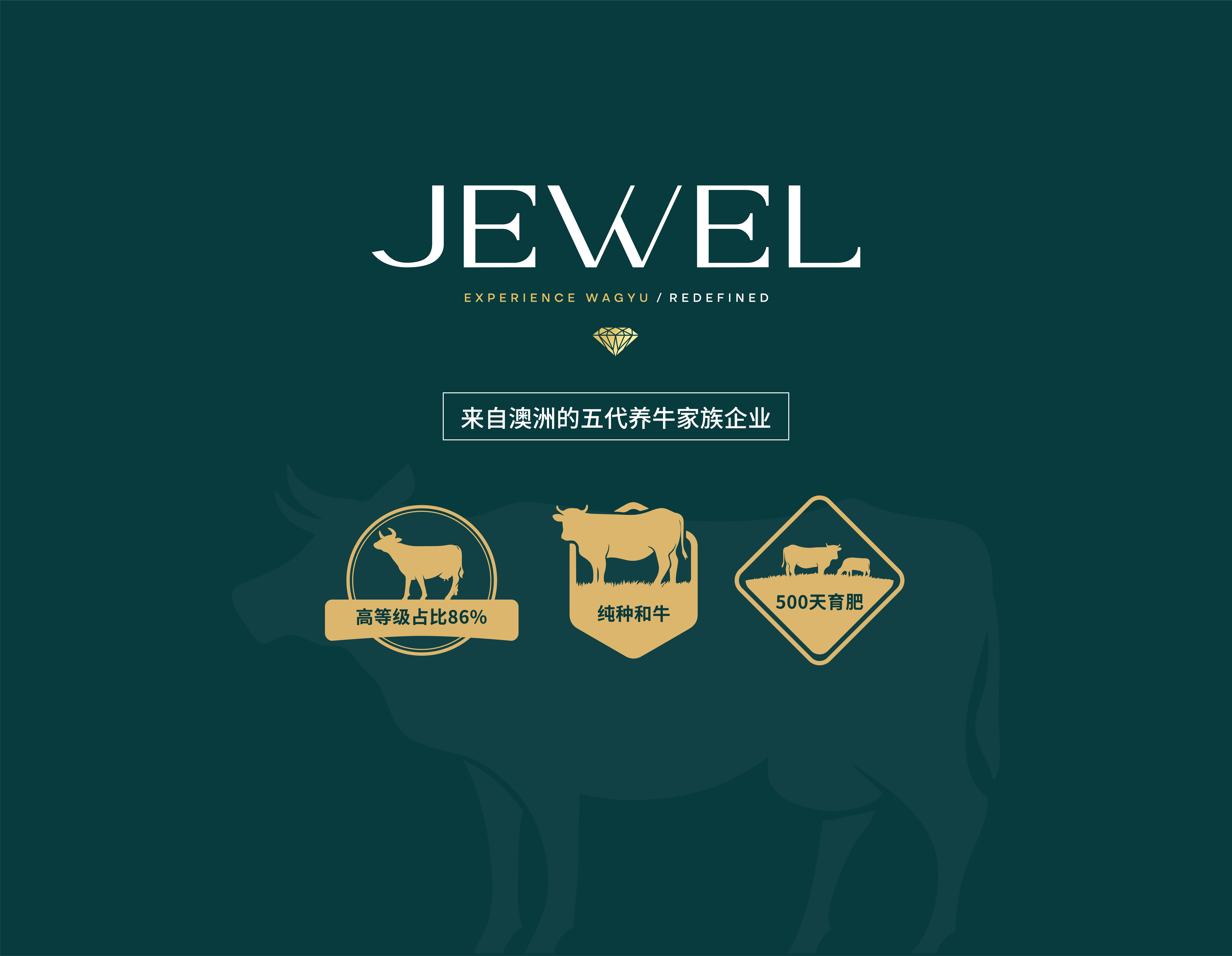 JEWREL-宝石 澳洲和牛