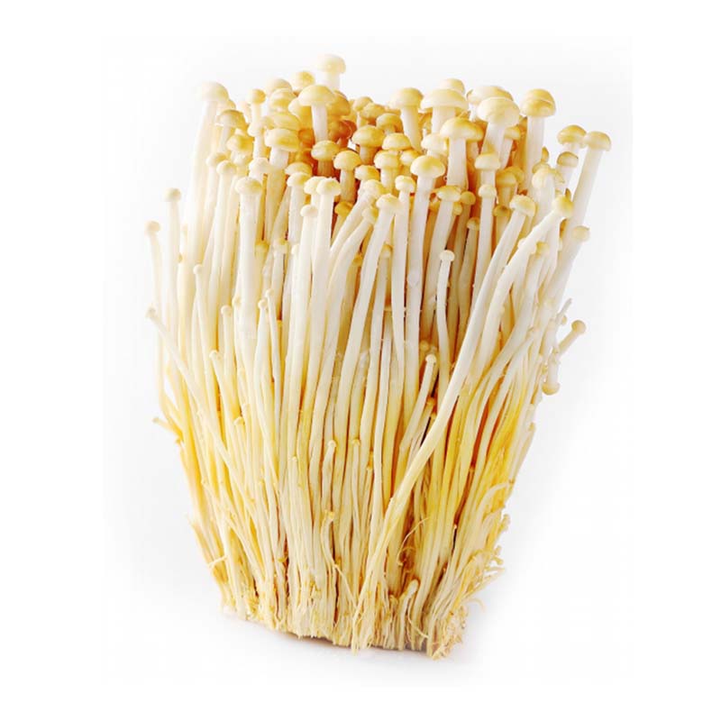 德添黃金針菇