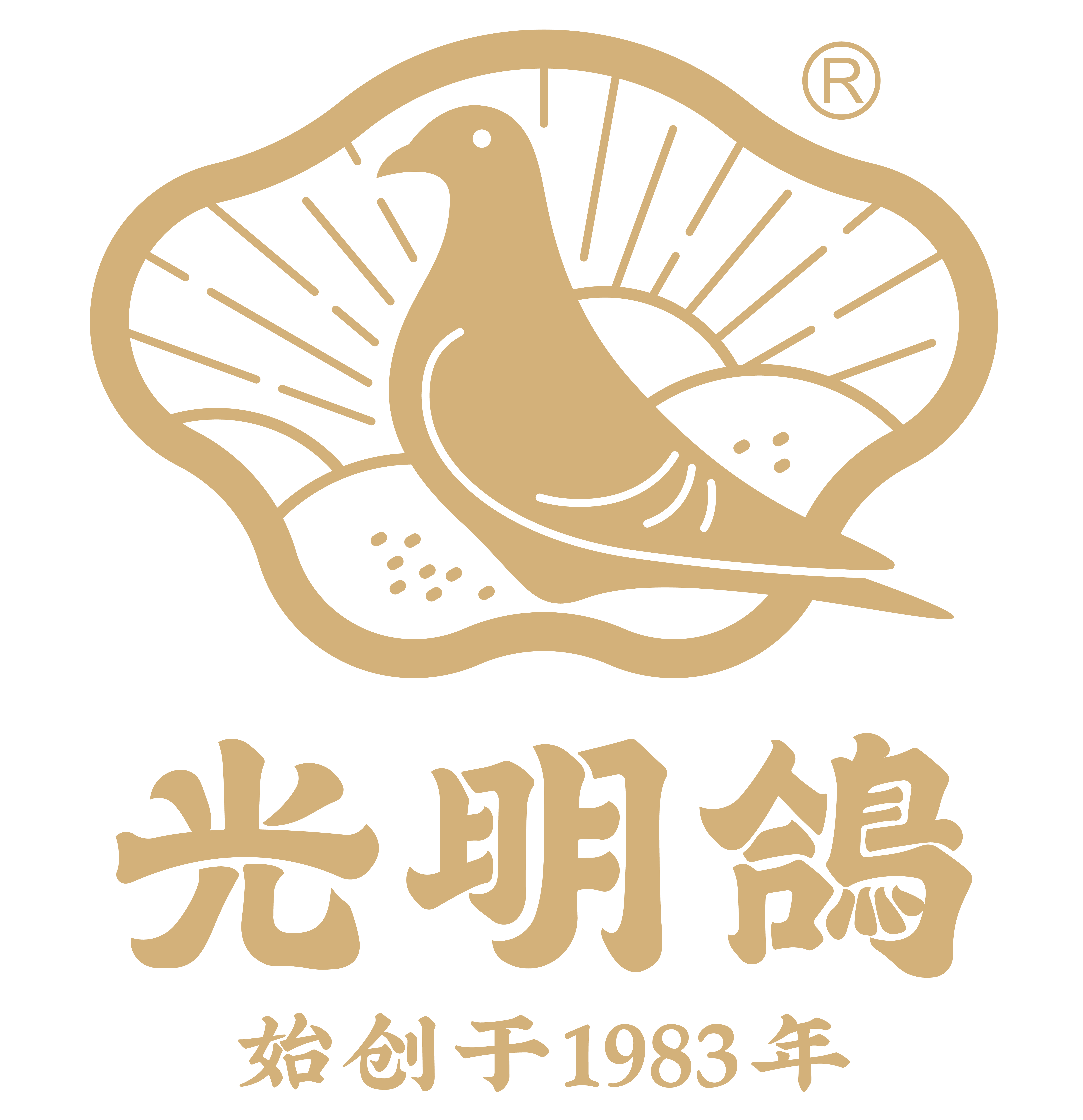 深圳市光明鸽餐饮文化投资发展有限公司