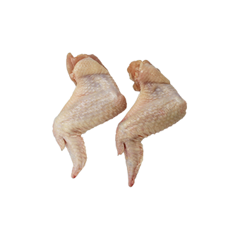 三節(jié)翅