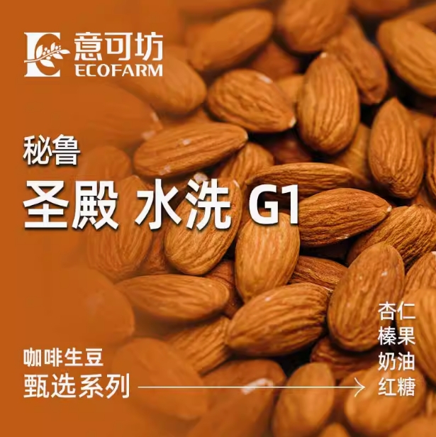 秘魯/ 圣殿 水洗 G1/ Peru Paramo Washed G1 2024/ 