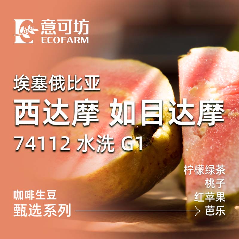 埃塞俄比亞/ 西達(dá)摩 如目達(dá)摩/ 74112 水洗 G1/ Ethiopia Sidama Rumudamo 74112 Washed G1 2024