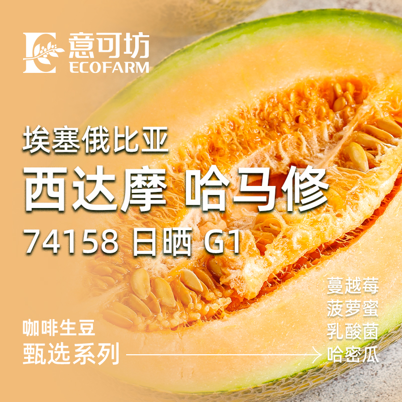 埃塞俄比亞/ 西達(dá)摩 哈馬修/ 74158 日曬 G1/ Ethiopia Sidamo Hamasho 74158 Natural G1 2024