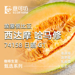 埃塞俄比亞/ 西達(dá)摩 哈馬修/ 74158 日曬 G1/ Ethiopia Sidamo Hamasho 74158 Natural G1 2024