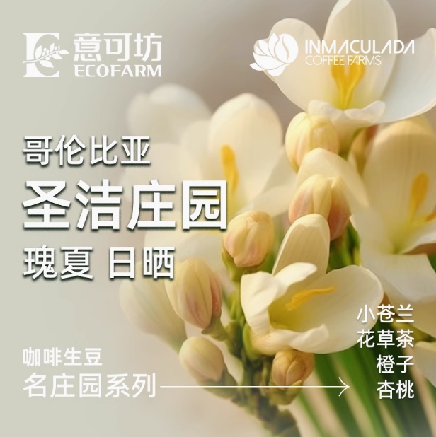哥倫比亞/ 圣潔莊園/ 瑰夏 日曬/ Colombia Inmaculada Gesha Natural 2024