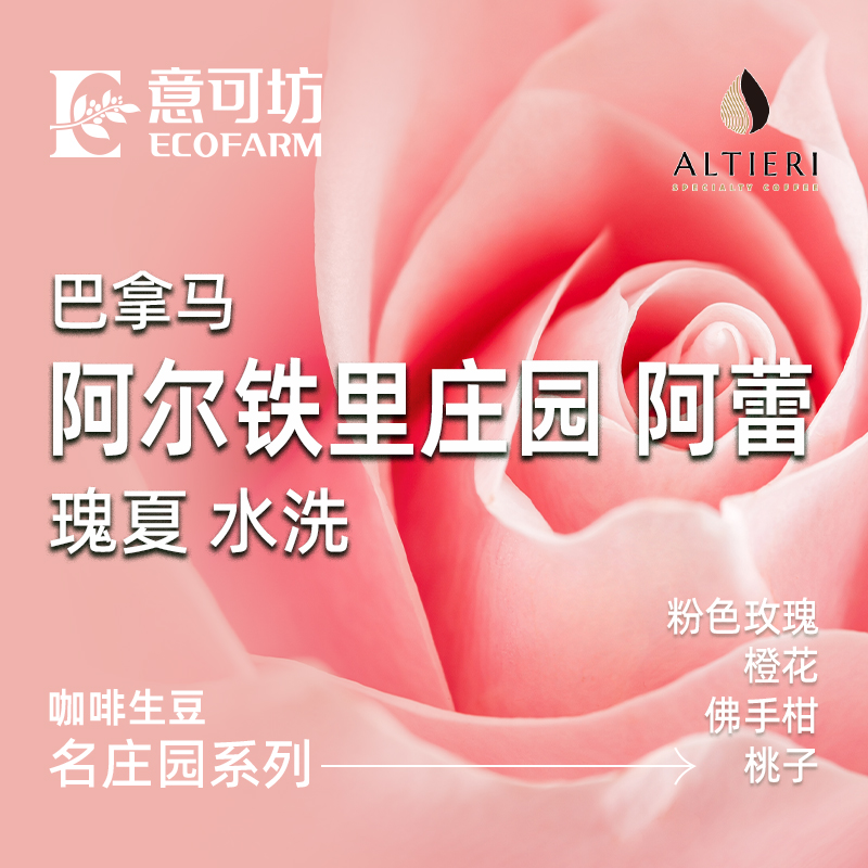 巴拿馬/ 阿爾鐵里莊園 阿蕾 瑰夏 水洗/ Panama Altieri Geisha Washed Ale 2024