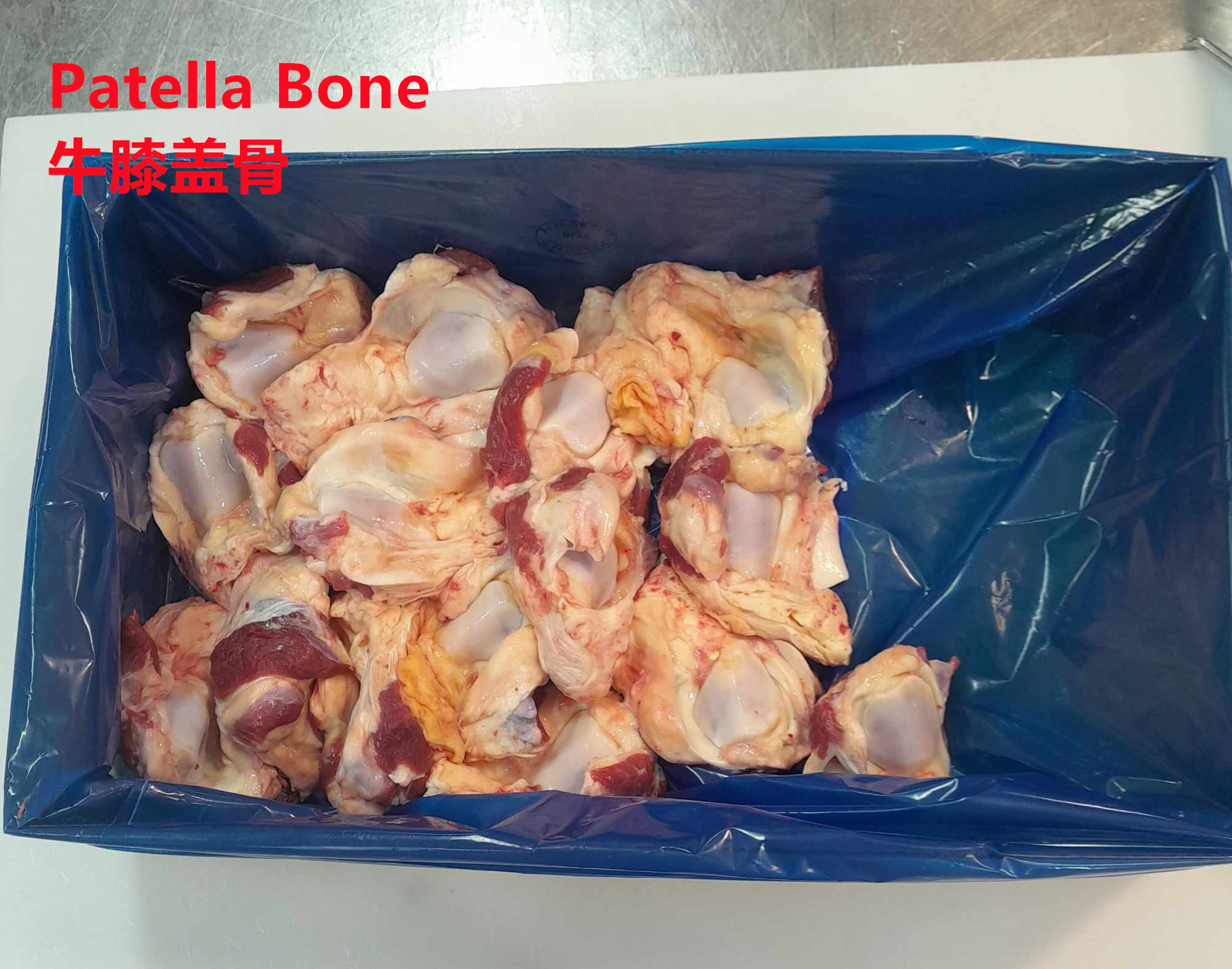 牛膝蓋骨Beef Pattelle Bone