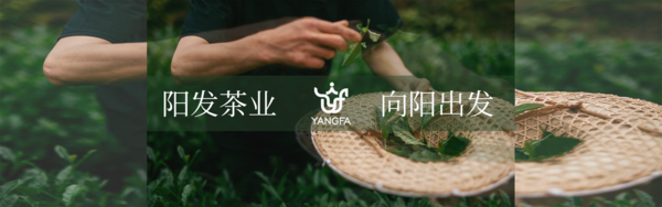 桂林阳发食品有限公司