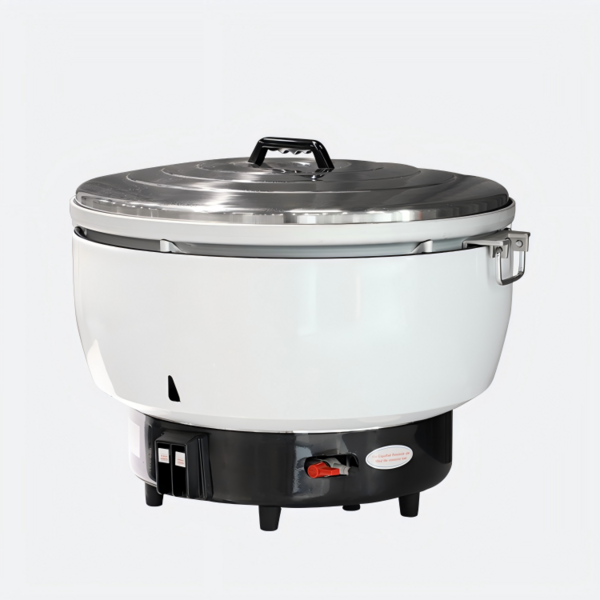 燃?xì)怙堨?5L