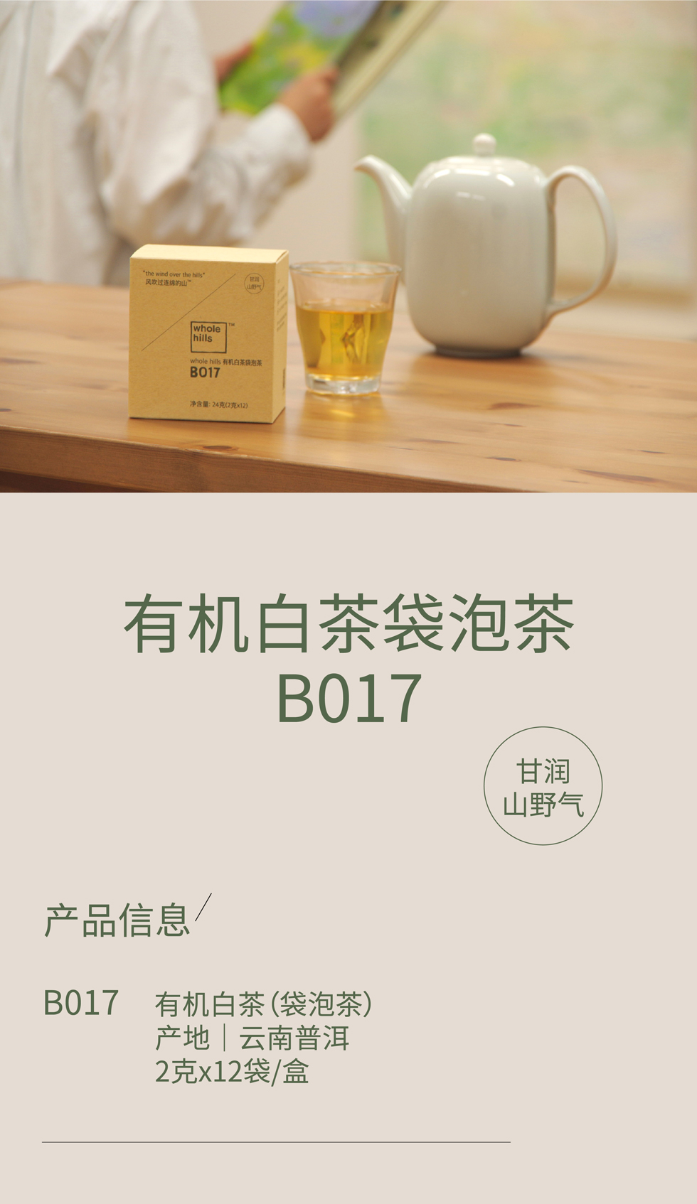 有机白茶袋泡茶B017