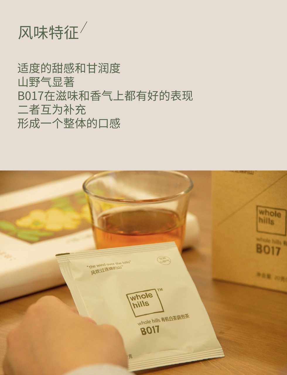 有机白茶袋泡茶B017