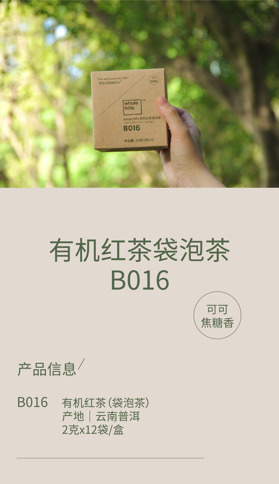 有机红茶袋泡茶B016