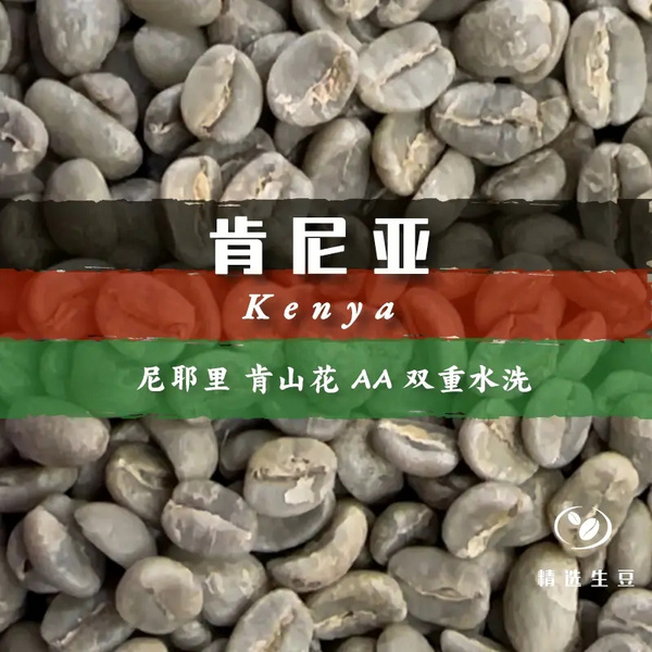 肯尼亞尼耶里 肯山花 AA 雙重水洗
