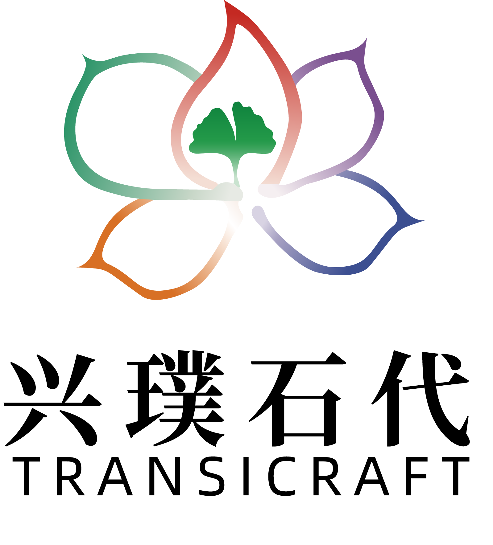 兴璞石代（东莞）科技有限责任公司