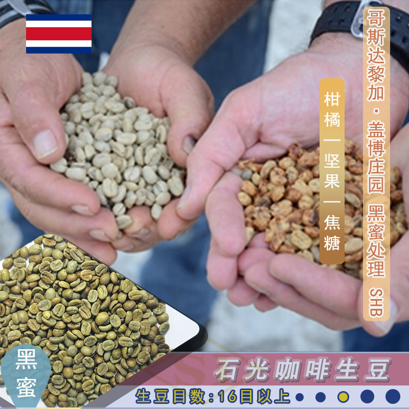哥斯達黎加 蓋博莊園 黑蜜 SHB
