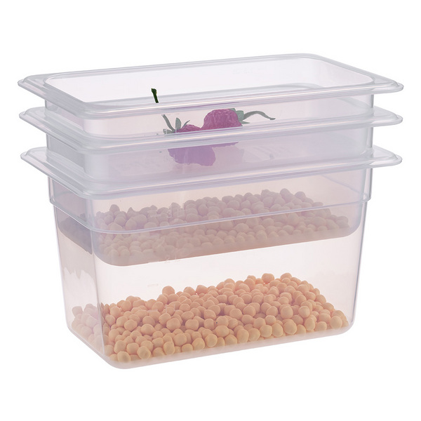 GN PP Container 1/3