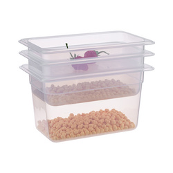 GN PP Container 1/4