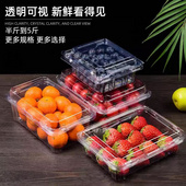 熱銷款果蔬盒