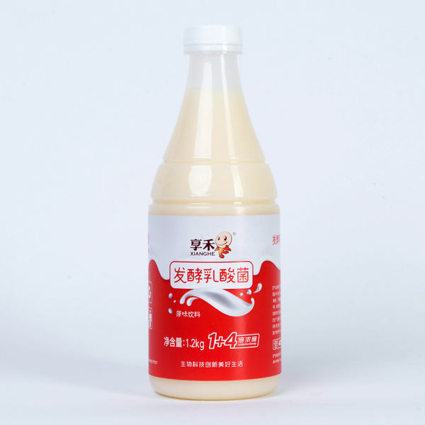 乳酸菌（白）