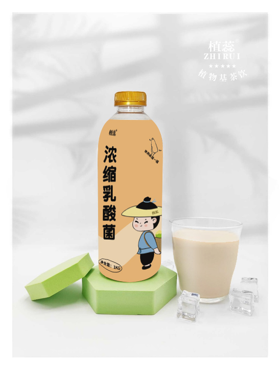 濃縮乳酸菌