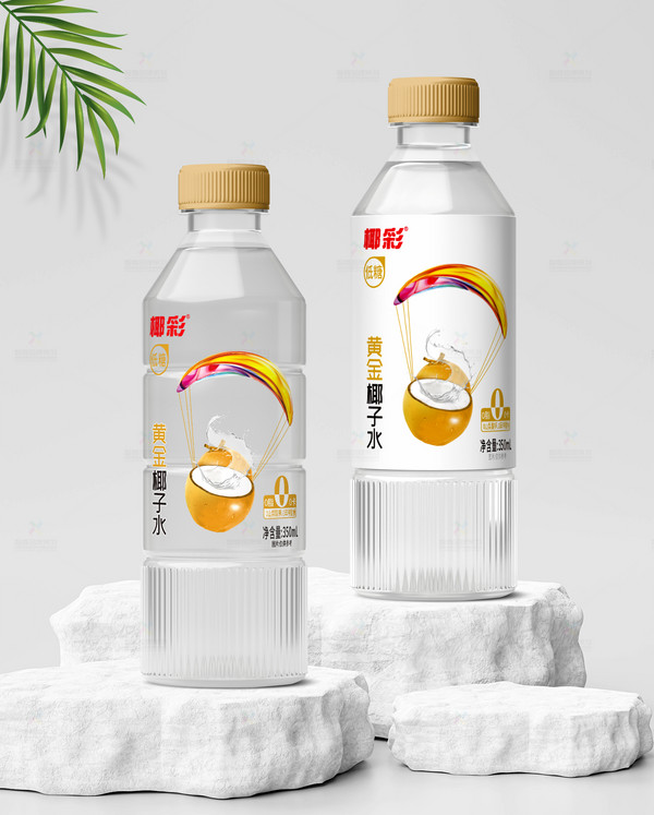 展商推荐：海口椰彩食品有限公司