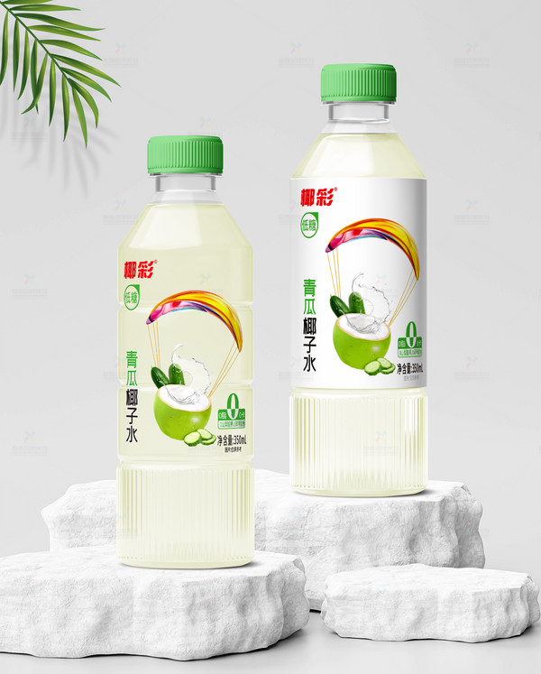 展商推荐：海口椰彩食品有限公司