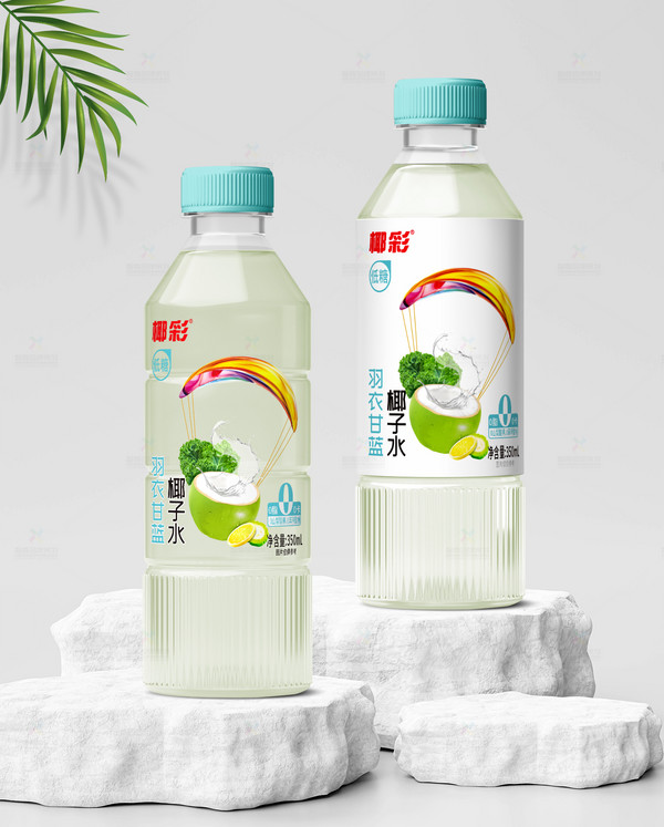 展商推荐：海口椰彩食品有限公司