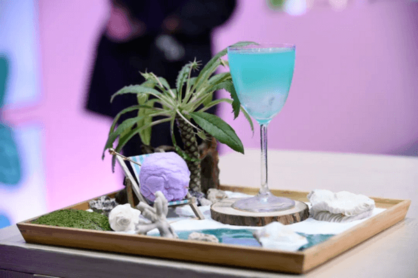全球風(fēng)味CHA飲文化節(jié)首次推出！2025茶飲盛宴，展位火熱開售！