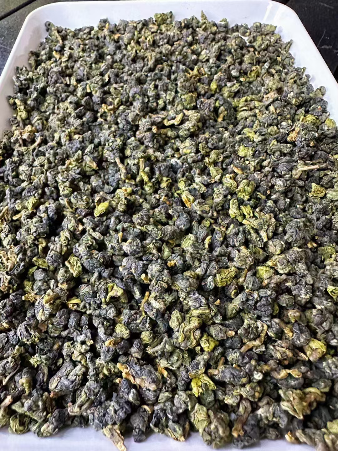 高山烏龍