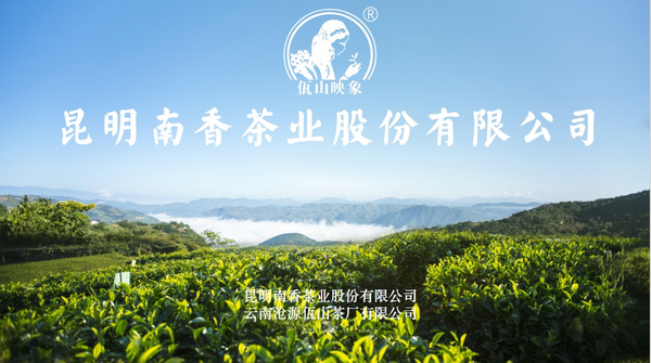 昆明南香茶业股份有限公司