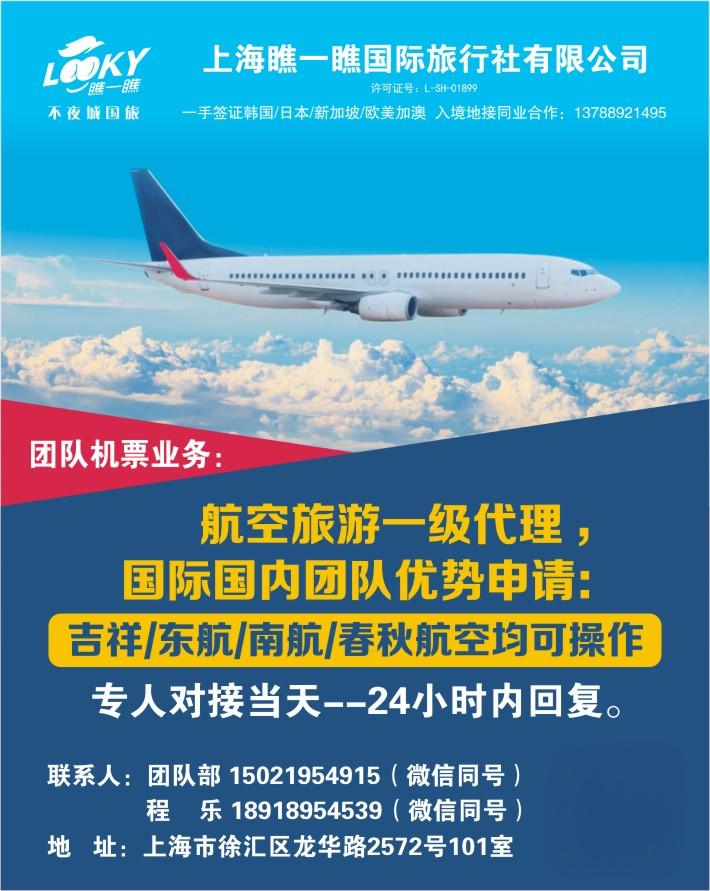 国内国际各航司团队机票申请