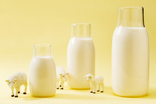 乳制品生产厂家如何提升产品质量以满足市场需求？