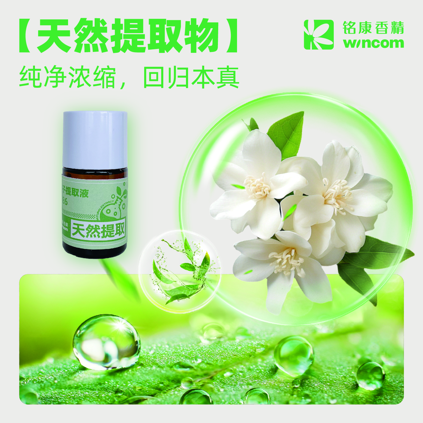 天然提取物系列