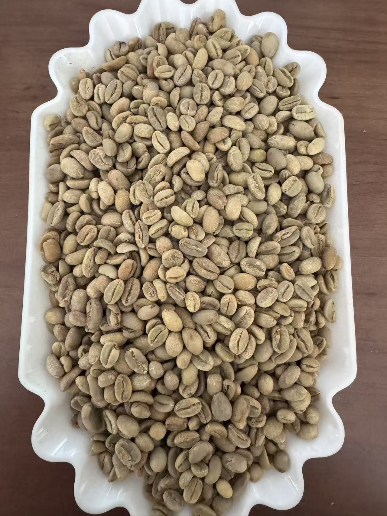 SidamoG4