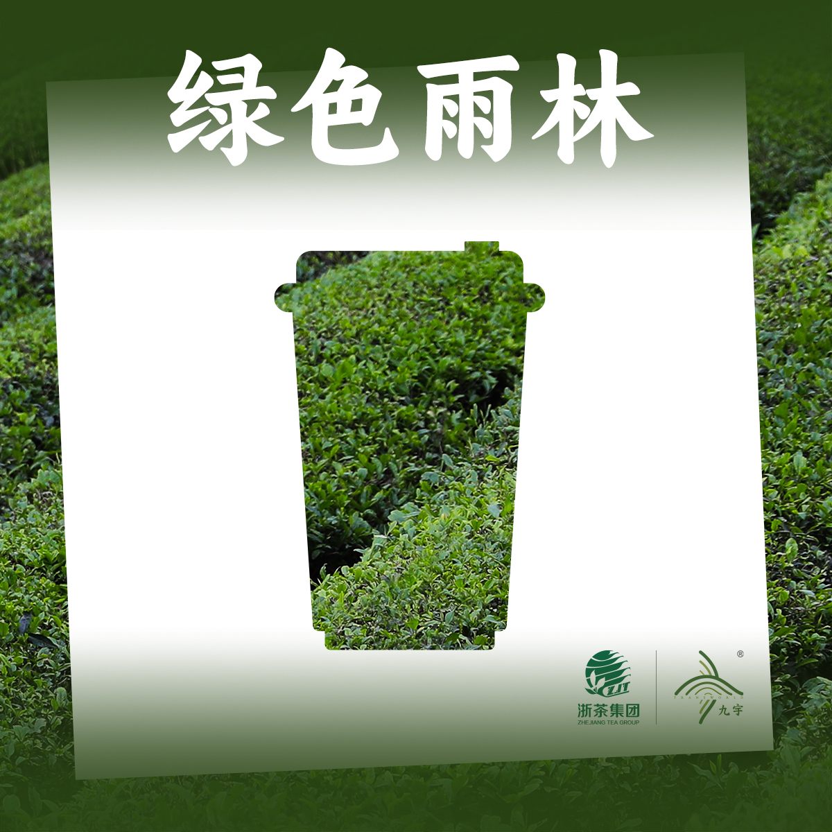 雨林认证系列茶叶