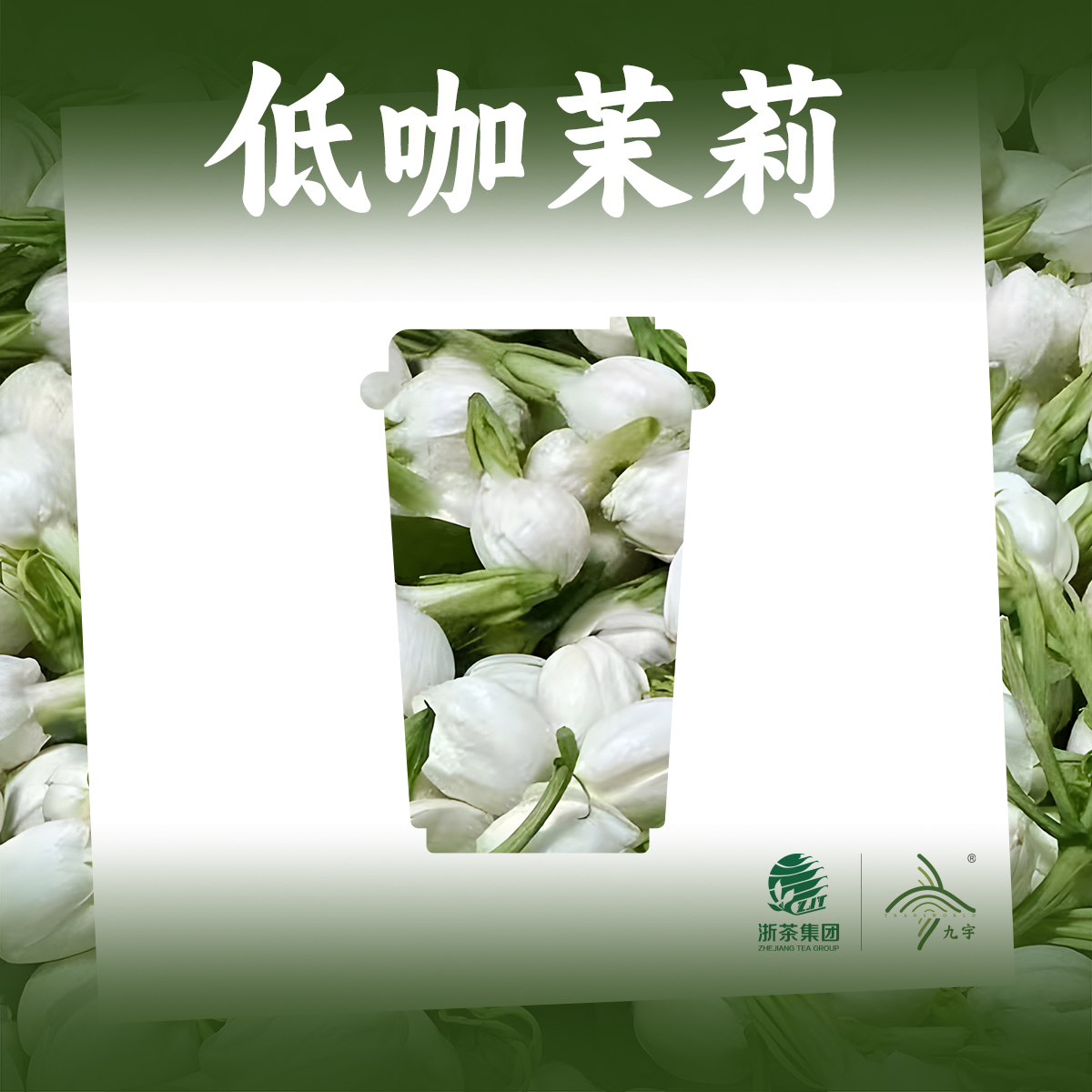 低咖茉莉